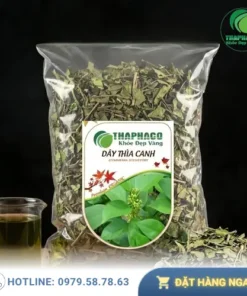 1kg Dây Thìa Canh Giá Rẻ Tại TP.HCM