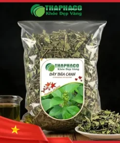 Dây Thìa Canh Sấy Khô THAPHACO: Mua Uy Tín, Giá Tốt TP.HCM