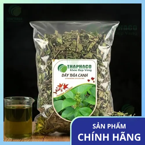 Dây Thìa Canh là gì và lợi ích sức khỏe của nó