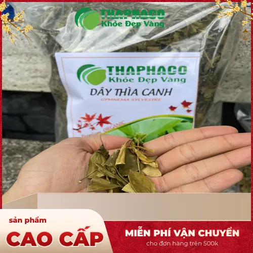 Dây Thìa Canh hỗ trợ kiểm soát đường huyết