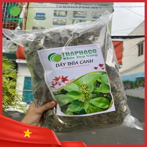 Dây Thìa Canh hỗ trợ ổn định đường huyết