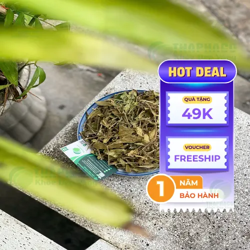 Thời điểm uống Dây Thìa Canh đúng cách