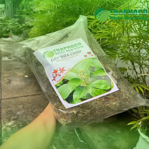 Quy trình sản xuất Dây Thìa Canh sấy khô tại THAPHACO