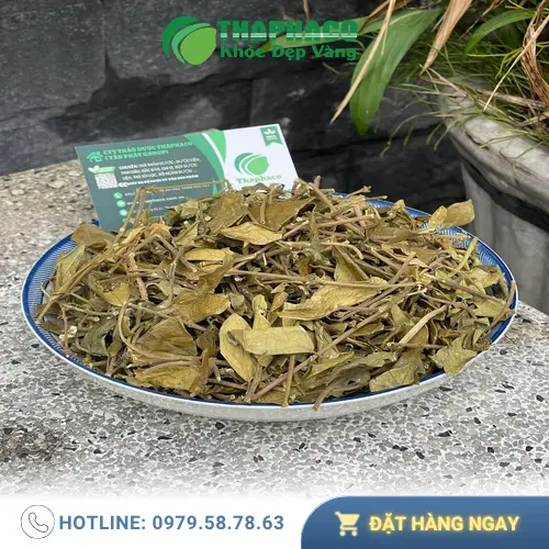 Kiểm tra đường huyết trước khi dùng Dây Thìa Canh