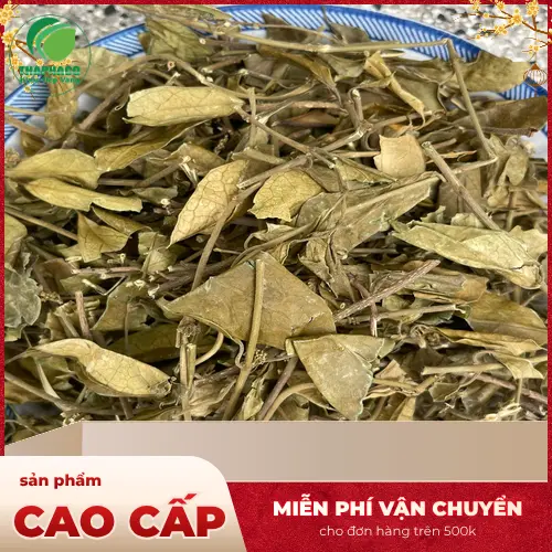 Nguồn nguyên liệu Dây Thìa Canh sạch của THAPHACO