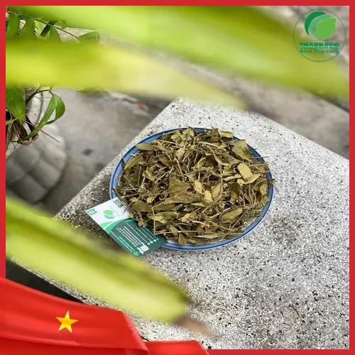 Giải đáp các câu hỏi thường gặp về Dây Thìa Canh