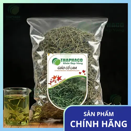 Giảo Cổ Lam khô THAPHACO được tuyển chọn kỹ lưỡng