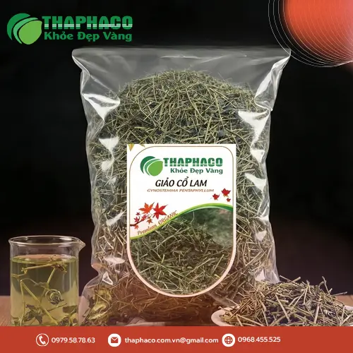 Giảo cổ lam khô THAPHACO