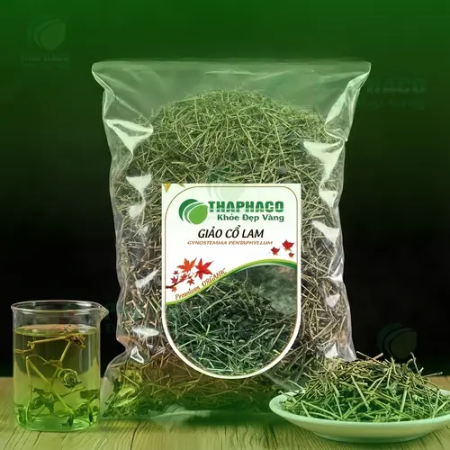 Giảo Cổ Lam - Thảo dược quý hỗ trợ sức khỏe