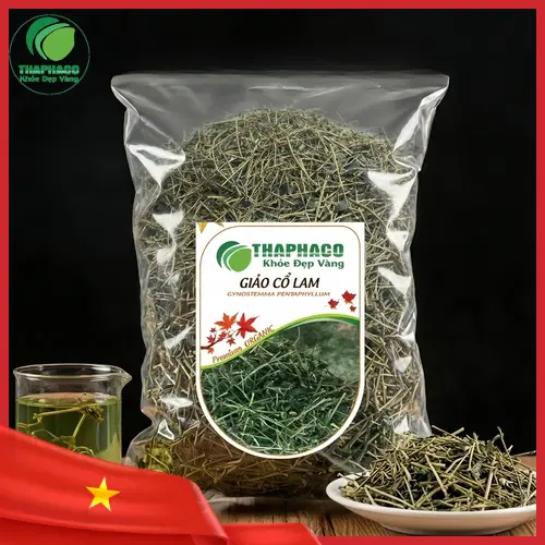 Hình ảnh cây Giảo Cổ Lam tươi