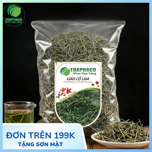 Đặc điểm hình thái cây Giảo Cổ Lam tự nhiên