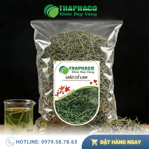Giảo Cổ Lam khô THAPHACO