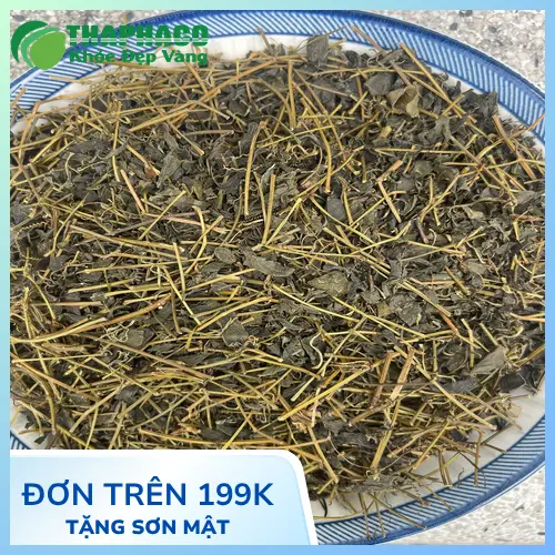 Quy trình sấy khô Giảo Cổ Lam tại THAPHACO