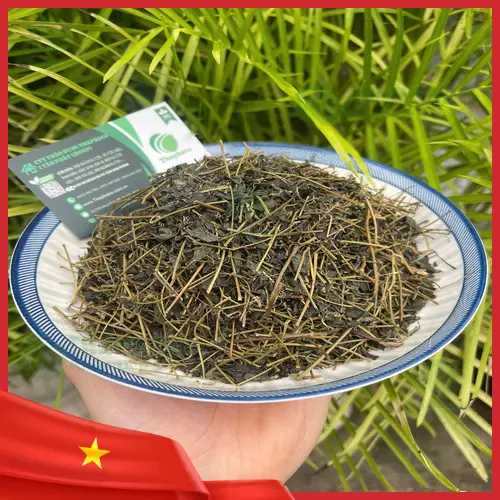Cách pha trà giảo cổ lam đúng cách