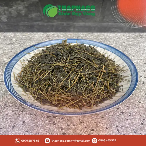 Công dụng hỗ trợ sức khỏe của Giảo Cổ Lam