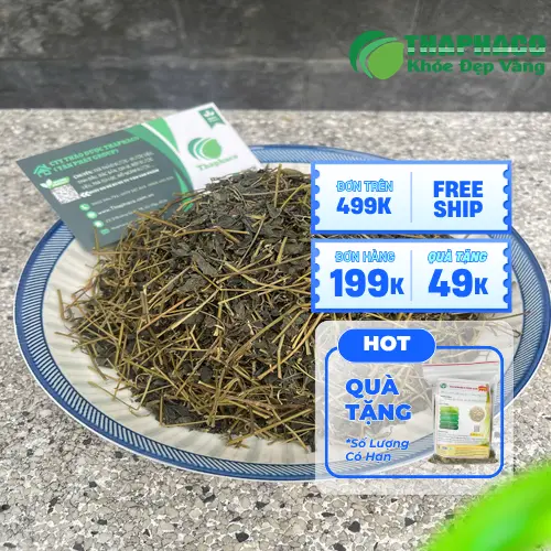 Công dụng hỗ trợ sức khỏe của Giảo Cổ Lam