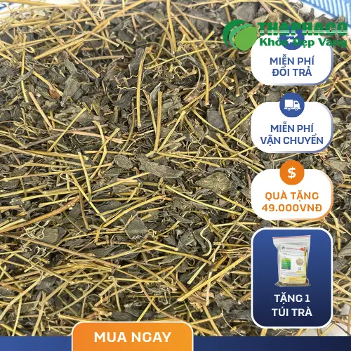 Công dụng hỗ trợ của Giảo Cổ Lam khô