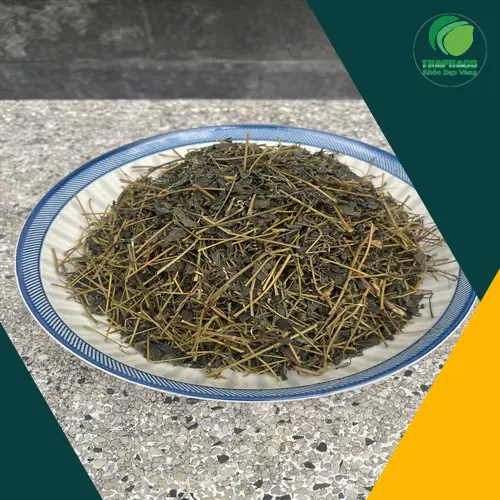 Trà Giảo Cổ Lam chất lượng tại THAPHACO