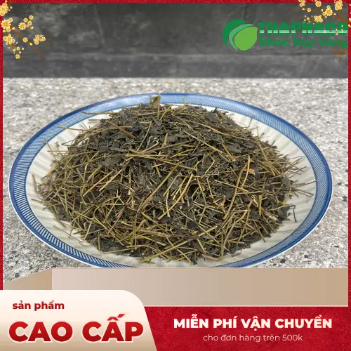 Giảo cổ lam chất lượng tại THAPHACO