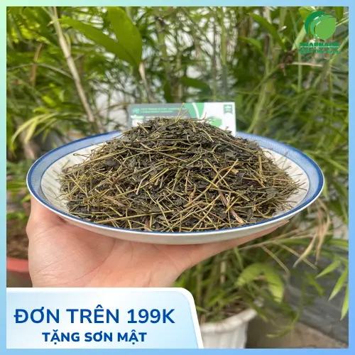 Lưu ý khi dùng Giảo Cổ Lam để đảm bảo an toàn