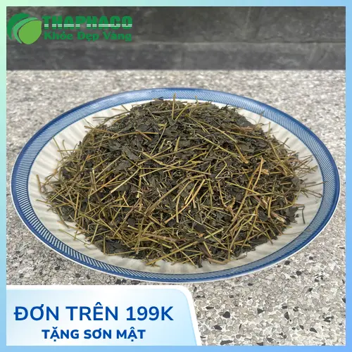 Địa chỉ mua Giảo Cổ Lam khô THAPHACO