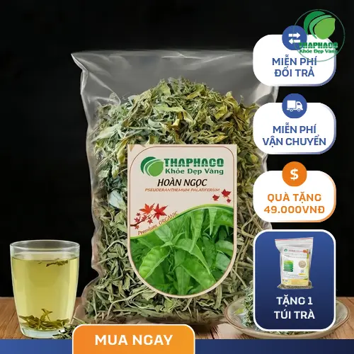 Lá Hoàn Ngọc khô đã được phơi và sơ chế