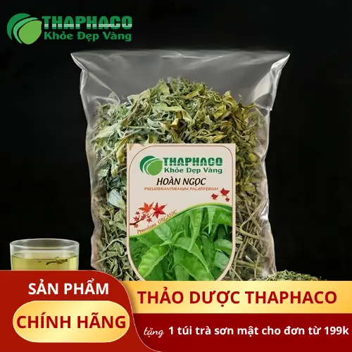 Hình ảnh cây Hoàn Ngọc tươi