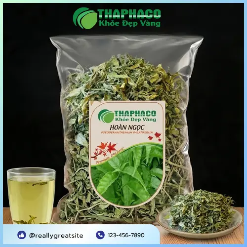 Hình ảnh tổng quan cây Hoàn Ngọc - Dược liệu quý của THAPHACO