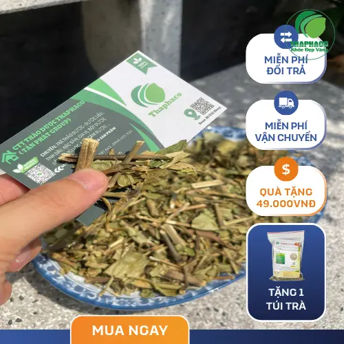 Cách pha trà Hoàn Ngọc khô tại nhà