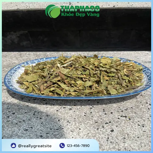 Bác sĩ đang tư vấn cho phụ nữ mang thai