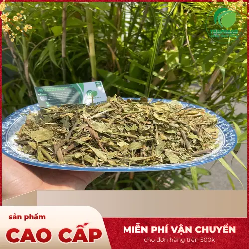 Sản phẩm Hoàn Ngọc khô chất lượng từ THAPHACO