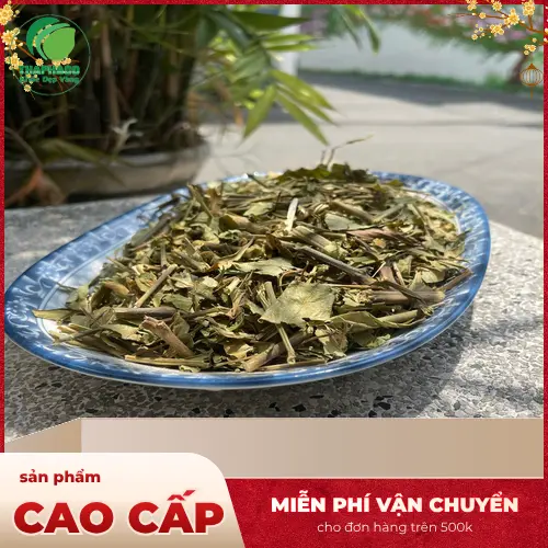 Hoàn Ngọc sấy khô chất lượng cao của THAPHACO