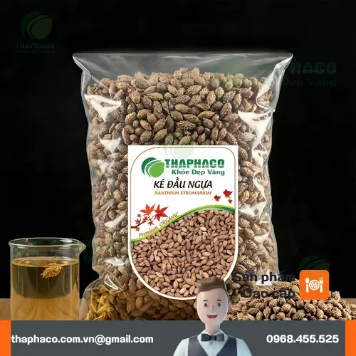 Hình ảnh cây Ké Đầu Ngựa tươi