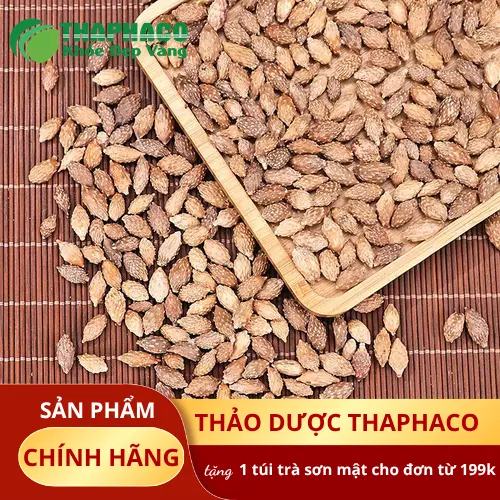 Hình ảnh một phụ nữ mang thai đang cân nhắc dùng thảo dược