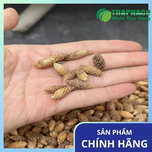 Ké Đầu Ngựa khô đã được sơ chế