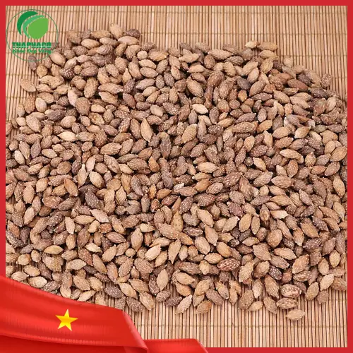 Hình ảnh bác sĩ tư vấn cho phụ nữ mang thai