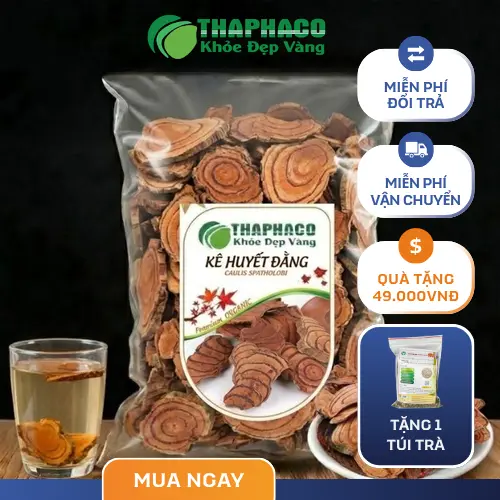 Hình ảnh Kê Huyết Đằng - Dây máu gà