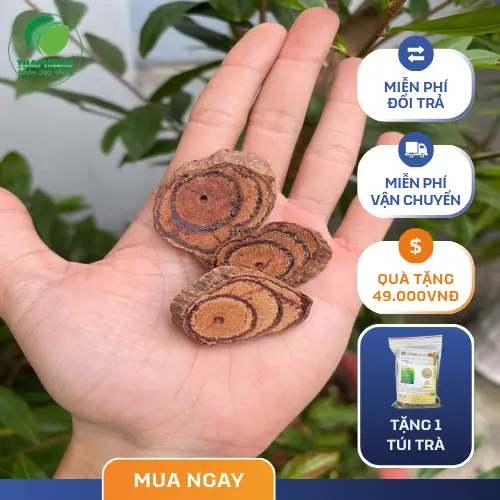 Công dụng của Kê Huyết Đằng Khô