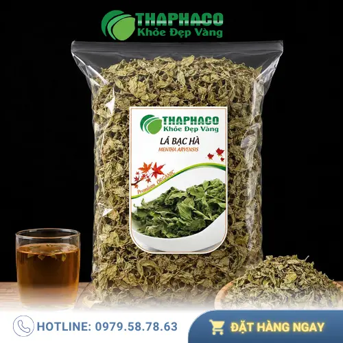 Lá bạc hà tươi Mentha piperita