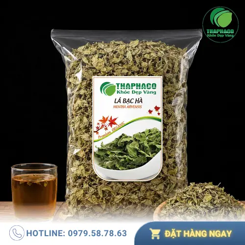 Trà bạc hà mang lại nhiều lợi ích cho sức khỏe