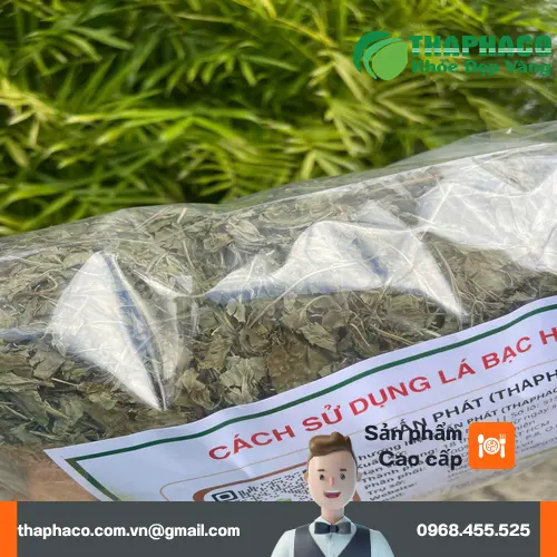 Cách pha và uống trà bạc hà đúng cách