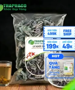 Lá Khôi Tía Khô TP.HCM: Địa Chỉ Uy Tín, Giá Tốt Tại THAPHACO