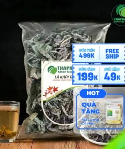 Mua Lá Khôi Tía Khô Ở Đâu Uy Tín, Chất Lượng Nhất?