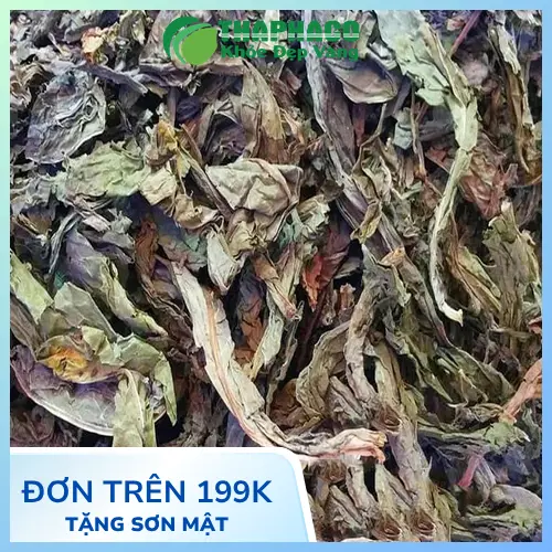 Công dụng hỗ trợ tiêu hóa của Lá Khôi Tía khô
