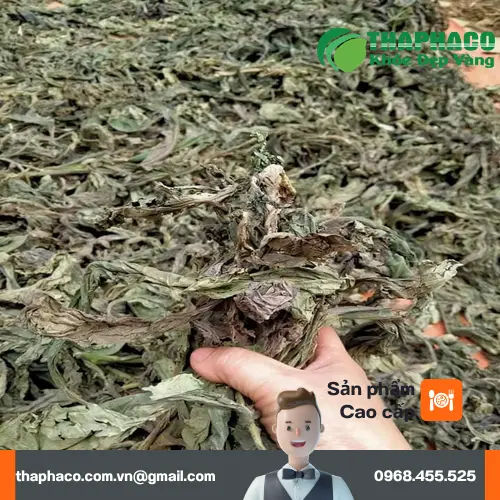 Hình ảnh Lá Khôi Tía khô chuẩn bị pha trà