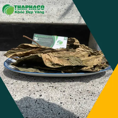 Kiểm tra Lá Khôi Tía khô định kỳ để tránh ẩm mốc