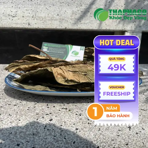 Địa chỉ THAPHACO bán Lá Khôi Tía khô tại TP.HCM