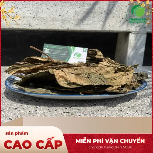 Sản phẩm Lá Khôi Tía khô chất lượng tại THAPHACO