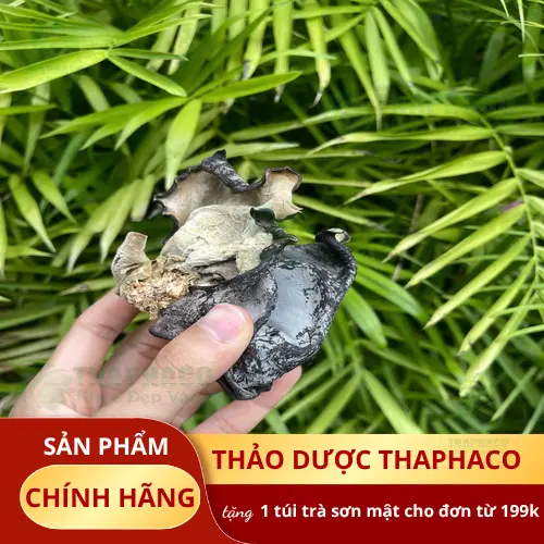 Giá mộc nhĩ loại 1 phụ thuộc vào chất lượng và nguồn gốc