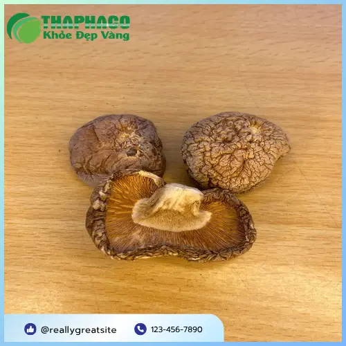 Tuyển chọn nguyên liệu nấm đông cô tươi chất lượng tại THAPHACO